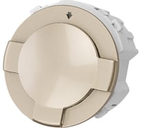 Выключатель карточный TDM ELECTRIC 250в 8квт шампань, "байкал" SQ1819-0551