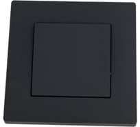 Выключатель 1-клавишный TOKOV ELECTRIC скрытой проводки, Pixel, 10А, IP20, в сборе карбон TKE-PX-V1F-C14