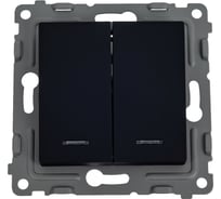 Механизм 2-клавишного выключателя TOKOV ELECTRIC СП Pixel 10А, IP20, с индикатором, карбон TKE-PX-V2I-C14