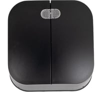 2-клавишный выключатель TOKOV ELECTRIC ОП Frea 10А, IP20, 250В, с индикацией, АБС-пластик, карбон TKE-FR-V2I-C14