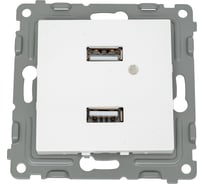Розетка TOKOV ELECTRIC 2-местная USB СП Pixel тип A+A 5В 1x2.1А 2x1.05А механизм белый TKE-PX-2USB-C01