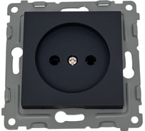 Механизм 1-местной розетки TOKOV ELECTRIC Pixel 16А, IP20, СП, без заземления, карбон TKE-PX-R1-C14