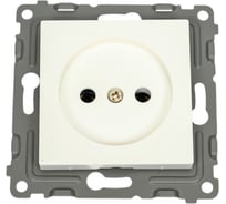 Механизм 1-местной розетки TOKOV ELECTRIC Pixel 16А, IP20, СП, без заземления, перламутровый TKE-PX-R1-C04