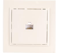 1-местная розетка EKF Минск RJ-45 СП бежевый  ERK01-035-20