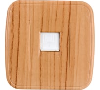 1-местная розетка EKF Минск RJ-45 ОП, 1А, 120В, светлое дерево EGK01-035-30