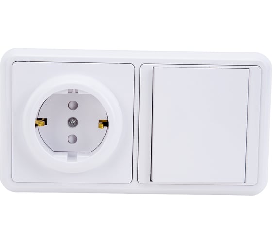 Блок TDM ELECTRIC комбинированный, БКВР 1-но клавишный выключатель, розетка, 2П З с з/ш SQ1813-0001