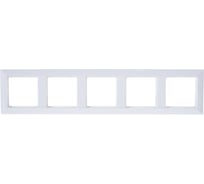 5-ая рамка JUNG EcoProfi Белая EP485WW