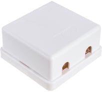 Настенная розетка NETLAN 2 порта, категория 5e, RJ45/8P8C, неэкранированная, белая, EC-UWO-2-UD2-WT-10