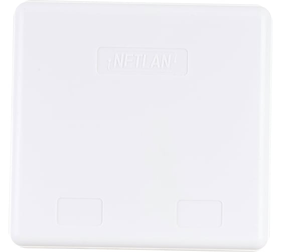 Настенная розетка NETLAN 2 порта, категория 5e, RJ45/8P8C, неэкранированная, белая, EC-UWO-2-UD2-WT-10