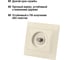 Телевизионная розетка TDM ELECTRIC типа F SAT слоновая кость Таймыр SQ1814-0132 5