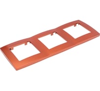 Рамка ЭРА 12500324 на 3 поста, 2, охра Б0019407