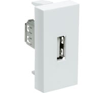Розетка модульная Рувинил USB 2.0 45x22,5мм белая упаковка 20 шт АДЛ 13-907