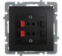 Механизм+накладка 2-местной аудио розетки Nilson стерео, скрытой установки, TOURAN-ALEGRA-THOR, metallic, матовый черный 24380450