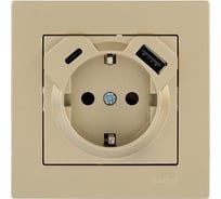 Розетка Lezard Vesna с/з tc+usb разъём золото 742-3688-181TC