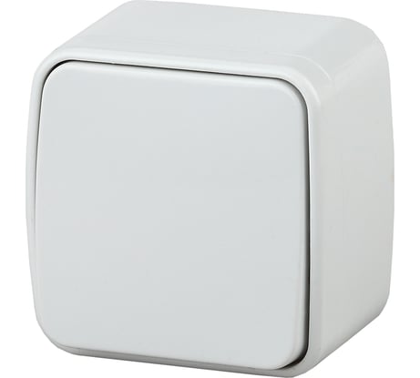 Переключатель Intro 310301, 10А, 250В, IP20, ОУ, Polo, белый Б0036094