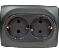 Розетка ЭРА 12210812 2x2PE Schuko со шторками, 16A/250В, IP20, 2, графит Б0036448