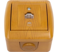 Компьютерная розетка Lezard NATA ольха 710-0700-139