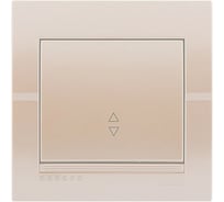 Проходной выключатель Lezard DERIY жемчужно-белый металлик 702-3030-105