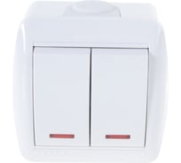 Двойной выключатель Lezard NATA с подсветкой, белый 710-0200-112
