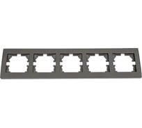 Рамка Lezard, RAIN, 5-ая, горизонтальная, с вставкой, черный графит, матовый, 703-4141-150