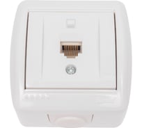 Компьютерная розетка Lezard NATA белый 710-0200-139