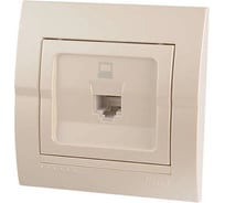 Компьютерная розетка Lezard DERIY жемчужно-белая, металлик 702-3030-139