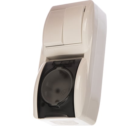 2-х клавишный выключатель и розетка с крышкой Lezard NATA с заземлением, белый, вертикальный 710-0200-173