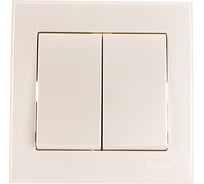 Двойной выключатель Lezard RAIN жемчужно-белый металлик 703-3030-101