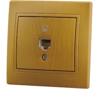 Компьютерная розетка Lezard MIRA ольха 701-0701-139