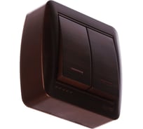 Двойной выключатель с подсветкой Lezard DEMET маун 711-0400-112