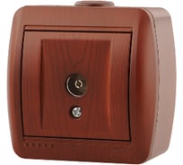 Розетка ТВ Lezard NATA оконечная, вишня 710-0600-130