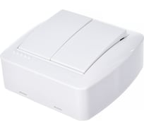 Двойной выключатель Lezard DEMET белый 711-0200-101