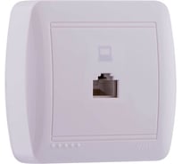 Розетка Lezard, DEMET. компьютерная, белый, 711-0200-139