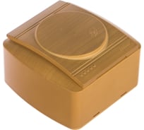 Розетка с крышкой Lezard DEMET с заземлением, ясень 711-4700-123