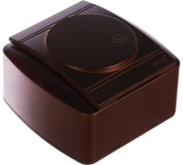 Розетка Lezard DEMET с заземлением, с крышкой, маун 711-0400-123