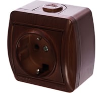 Розетка Lezard NATA, с/з, керамика, вишня, 710-0600-122