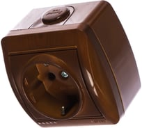 Розетка Lezard NATA с заземлением, керамика, сосна 710-0800-122