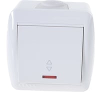 Проходной выключатель Lezard NATA с подсветкой, белый 710-0200-114