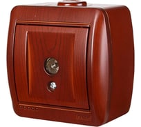 ТВ Розетка Lezard, NATA, проходная, вишня, 710-0600-129