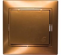 Розетка Lezard, MIRA, с/з, с крышкой, керамика, золотой металлик, со вставкой, 701-1313-123