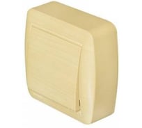 Выключатель Lezard, DEMET, ясень, 711-4700-100