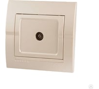 ТВ Розетка Lezard, DERIY, проходная, жемчужно-белая, металлик, 702-3030-129