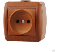 Розетка Lezard, NATA, б/з, керамика, сосна, 710-0800-121