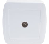 Розетка Lezard DEMET, ТВ, оконечная, белый, 711-0200-130