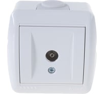 Розетка ТВ Lezard NATA, оконечная, белый 710-0200-130