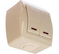 Двойной выключатель Lezard NATA, с подсветкой, крем, 710-0300-112