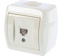 Телефонная розетка Lezard NATA, евро, белый, 710-0200-137