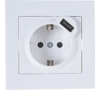 Розетка + USB-разъём Lezard RAIN, с заземлением, белый, 703-0202-181
