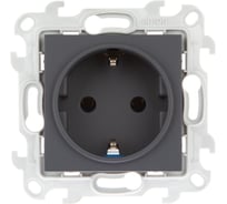 Розетка Simon 2К+З Schuko без шторок, графит 2450434-038