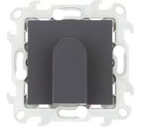 Вывод кабеля Simon графит 2410801-038